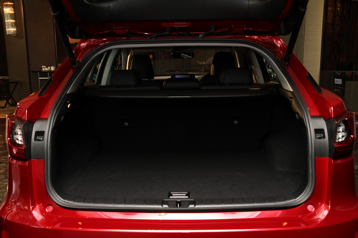 iamcar_Lexus RX 200t8